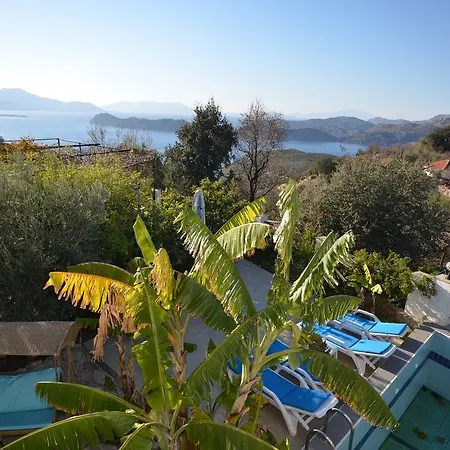 Willa Sunsets